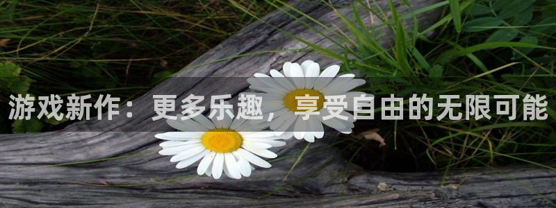蓝冠娱乐线路测试：游戏新作：更多乐趣，享受自由的无限可能