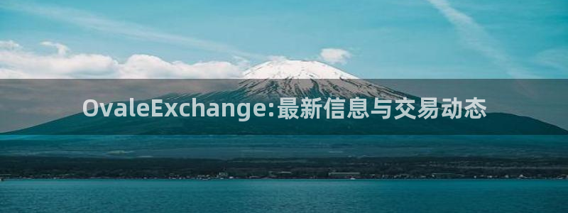 蓝冠娱乐平台负责人：OvaleExchange:最新信息与交
