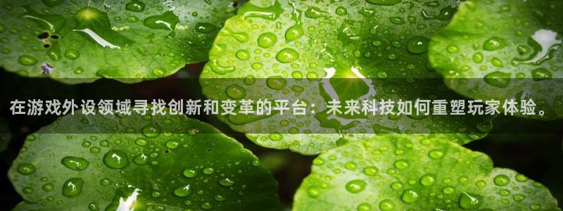 蓝冠娱乐平台注册开户：在游戏外设领域寻找创新和变革的平台：未