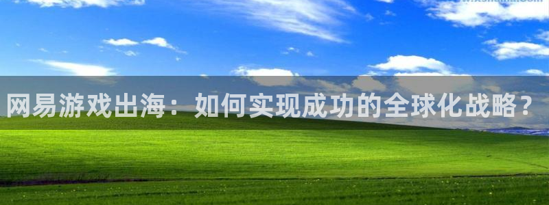 蓝冠娱乐平台登录入口：网易游戏出海：如何实现成功的全球化战略