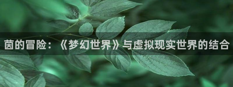 蓝冠娱乐登录地址：茵的冒险：《梦幻世界》与虚拟现实世界的结合