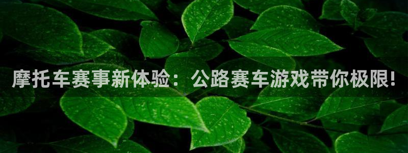 蓝冠娱乐网址注册：摩托车赛事新体验：公路赛车游戏带你极限!