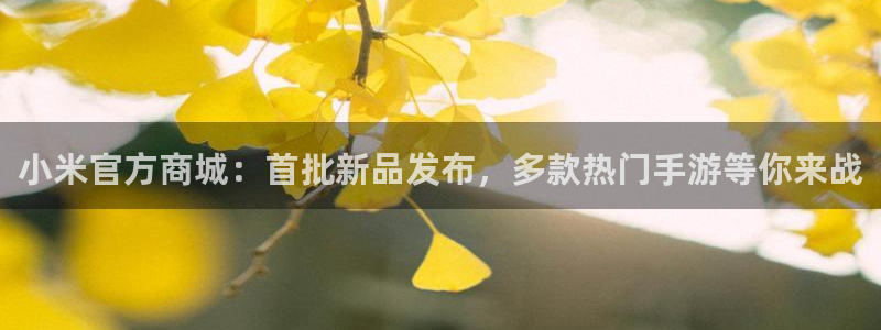 蓝冠娱乐下载：小米官方商城：首批新品发布，多款热门手游等你来