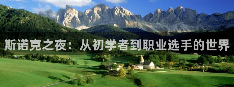 88看球直播 在线观看：斯诺克之夜：从初学者到职业选手的世界