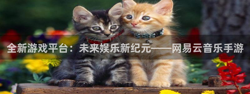 蓝冠动力技术(苏州)有限公司：全新游戏平台：未来娱乐新纪元—