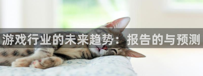 蓝冠在线测速官网：游戏行业的未来趋势：报告的与预测