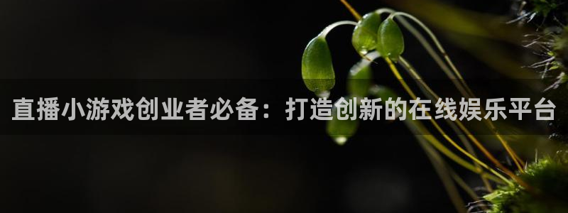 蓝冠在线：直播小游戏创业者必备：打造创新的在线娱乐平台