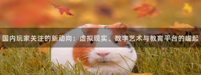 蓝冠娱乐官网：国内玩家关注的新动向：虚拟现实、数字艺术与教育